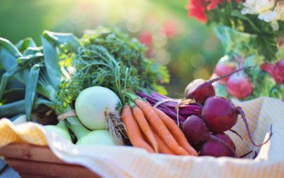 Calcium, Iron & Protein in a Plant-Based Diet