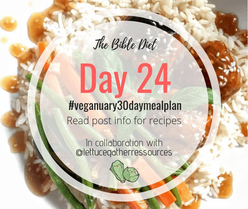 Veganuary Recipes | Day 24