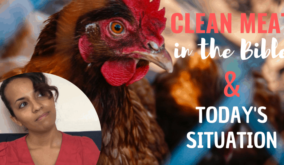 Clean Meats in the Bible & Today’s Context