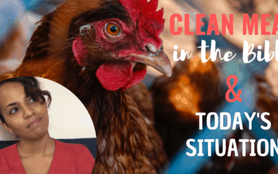 Clean Meats in the Bible & Today’s Context