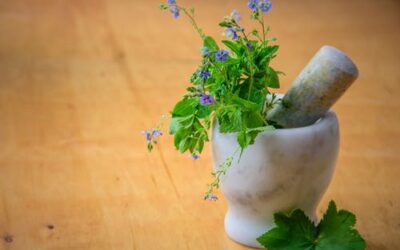 12 Bible Verses about Herbs | KJV