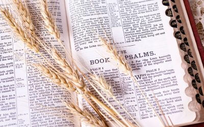 Exploring The Bible Diet: Ancient Wisdom for Modern Health