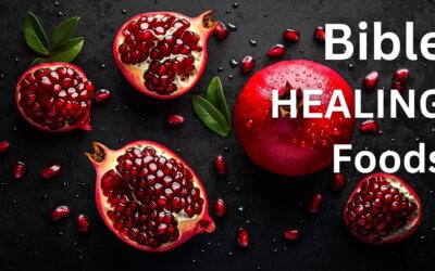 Healing Foods from the Bible: What Scripture Teaches About God’s Design for Health