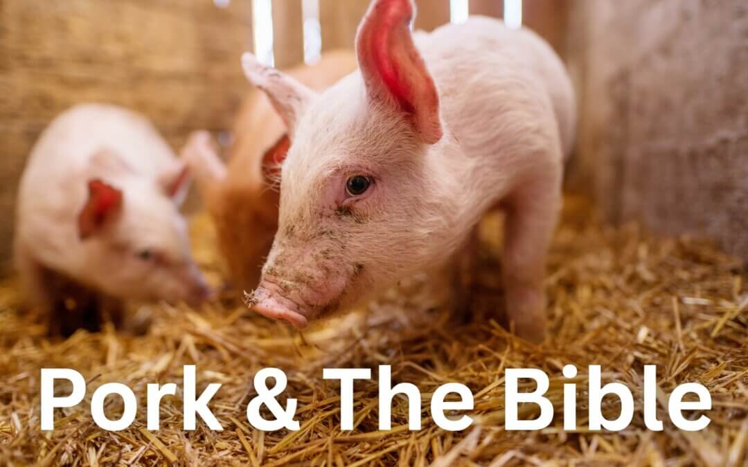 Does the Bible Say “Do Not Eat Pork”? A Biblical Look at God’s Dietary Guidance